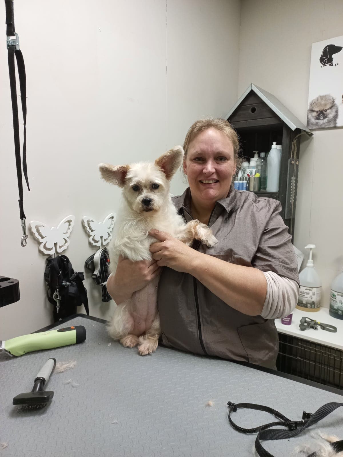 Ilse - Hondentrimmer